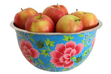 Hand Painted Stainless Steel Decorative Bowl - Marie Décor